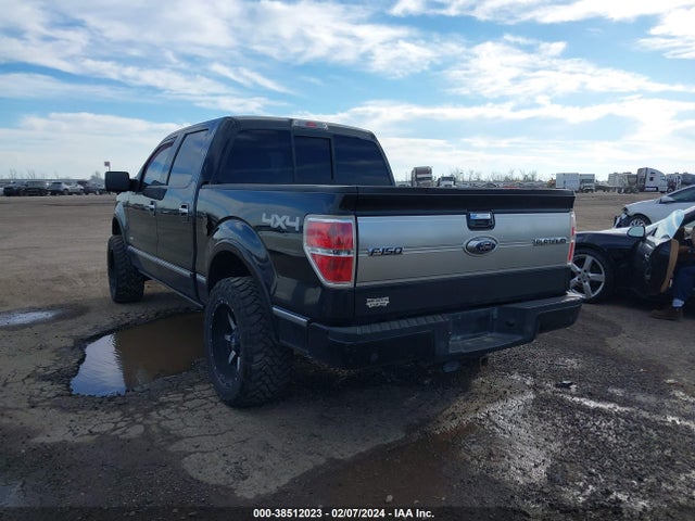 2013 FORD F-150 PLATINUM VIN: 1FTFW1ET9DFB72807