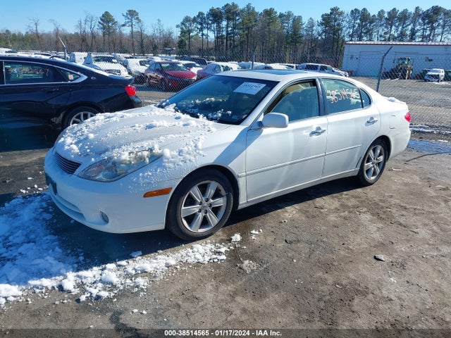 2005 LEXUS ES 330 VIN: JTHBA30G055140658