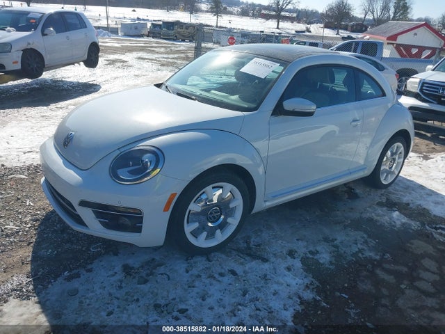 3VWFD7AT3KM701015 Volkswagen BEETLE