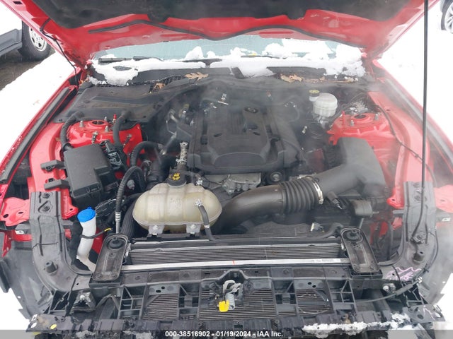 Ford Mustang Ecoboost Fastback 2020 1FA6P8TH7L5175381 Image 10