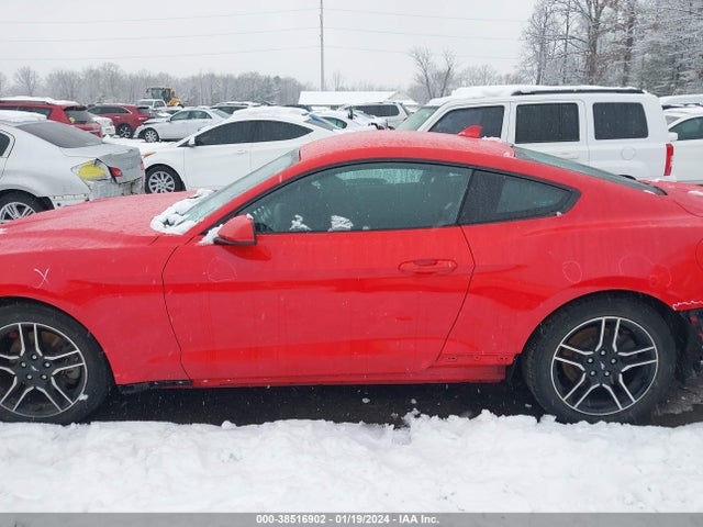 Ford Mustang Ecoboost Fastback 2020 1FA6P8TH7L5175381 Image 15