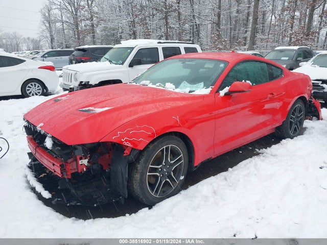 Ford Mustang Ecoboost Fastback 2020 1FA6P8TH7L5175381 Image 2