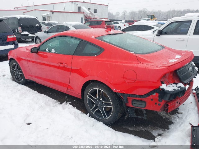 Ford Mustang Ecoboost Fastback 2020 1FA6P8TH7L5175381 Image 3