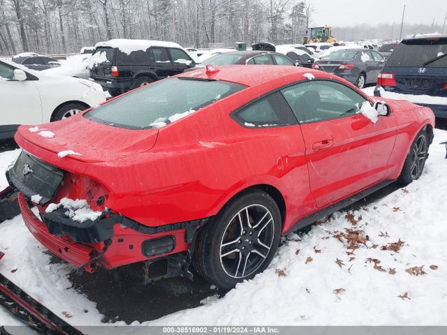 Ford Mustang Ecoboost Fastback 2020 1FA6P8TH7L5175381 Image 4