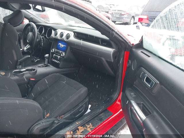 Ford Mustang Ecoboost Fastback 2020 1FA6P8TH7L5175381 Image 5