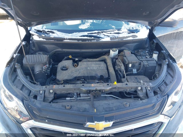 Chevrolet EQUINOX LS 2019 2GNAXHEV7K6130295 Image 10