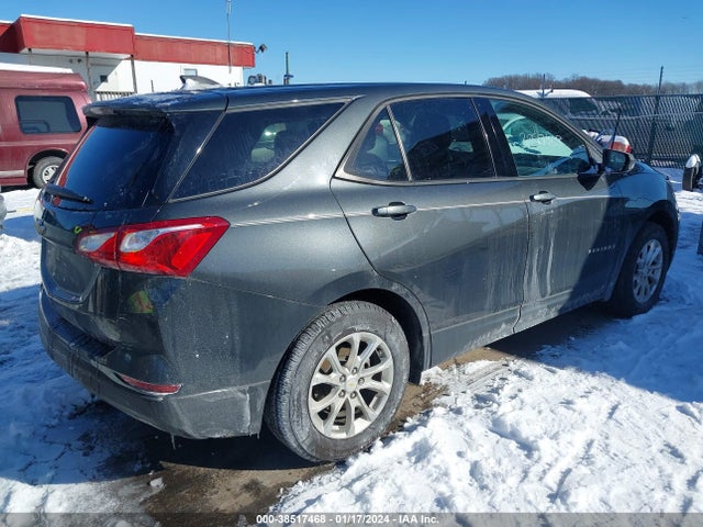 Chevrolet EQUINOX LS 2019 2GNAXHEV7K6130295 Image 4
