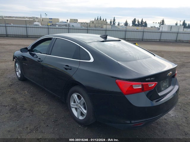 Chevrolet Malibu 1fl 2019 1G1ZC5ST9KF171339 Image 3