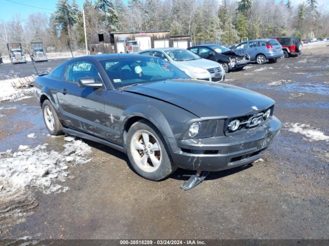 Auction sale of the 2007 Ford Mustang V6 Deluxe/v6 Premium, vin: 1ZVHT80N375199494, lot number: 38518289