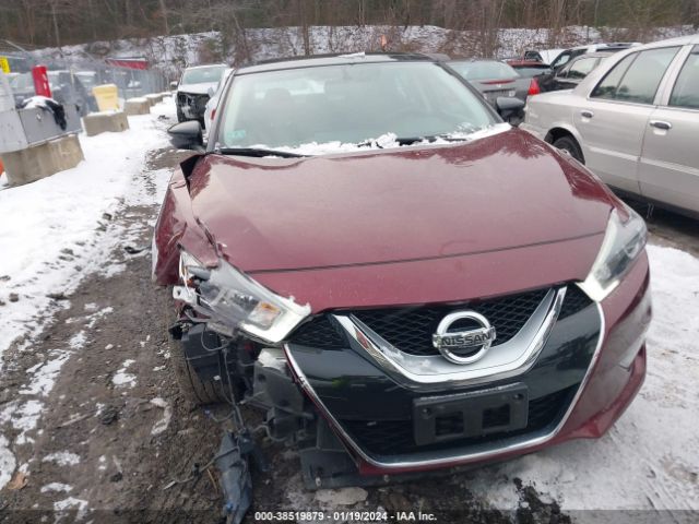 1N4AA6APXHC426374 Nissan Maxima 3.5 Sl
