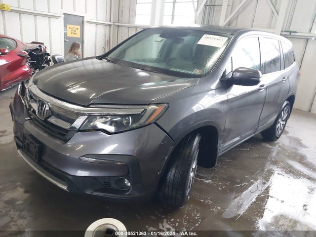 Honda Pilot Ex-l 2019 5FNYF6H50KB082630 Image 2