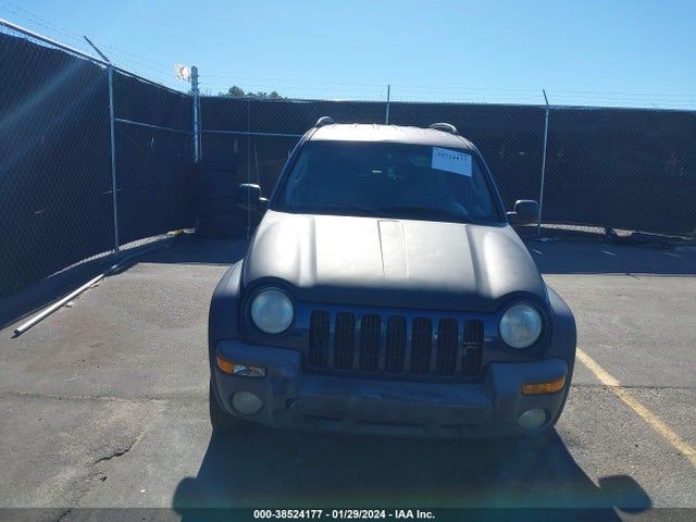2002 JEEP LIBERTY SPORT VIN: 1J4GL48K82W270395