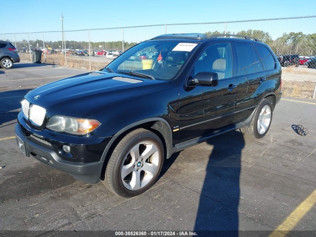 2005 BMW X5 4.4I VIN: 5UXFB53555LV17145