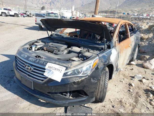 5NPE24AF9HH558146 Hyundai Sonata
