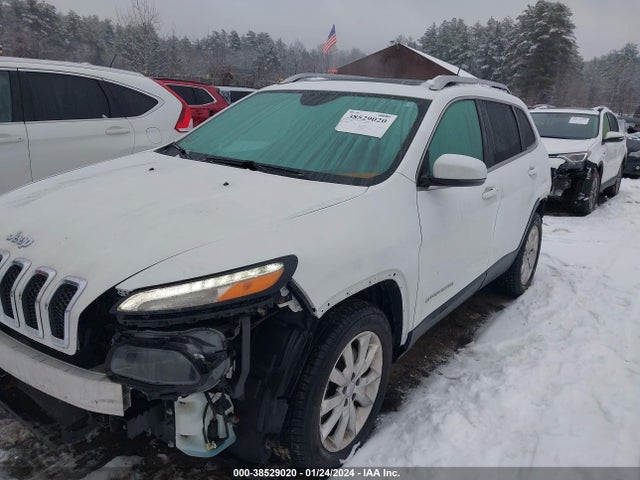 Jeep Cherokee Limited 2015 1C4PJMDS5FW692860 Image 2