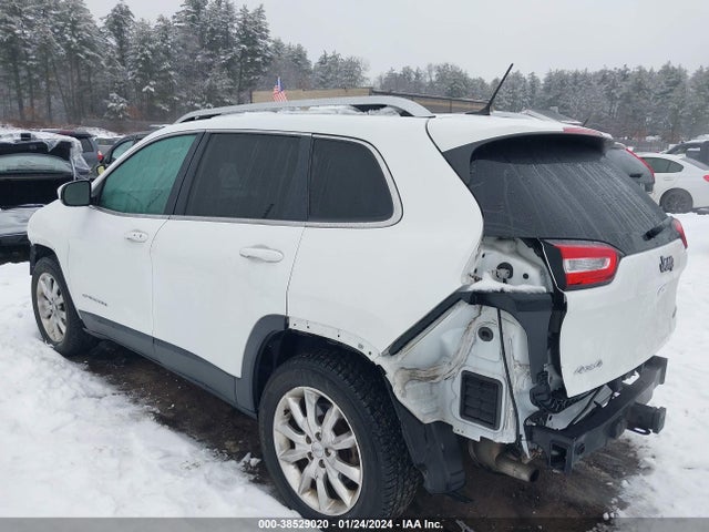 Jeep Cherokee Limited 2015 1C4PJMDS5FW692860 Image 3