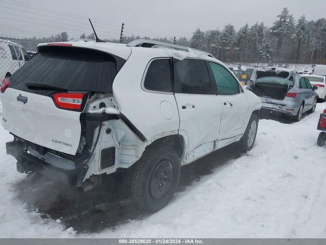 Jeep Cherokee Limited 2015 1C4PJMDS5FW692860 Image 6