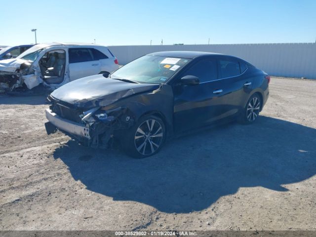1N4AA6AP2GC429977 Nissan Maxima 3.5 S