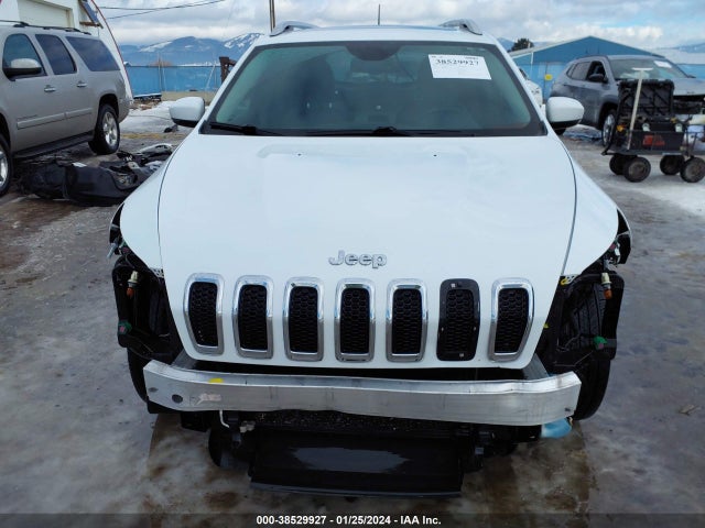 Jeep Cherokee Limited 2016 1C4PJMDS2GW104785 Image 13