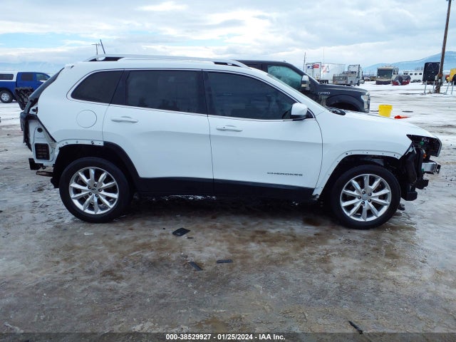Jeep Cherokee Limited 2016 1C4PJMDS2GW104785 Image 14