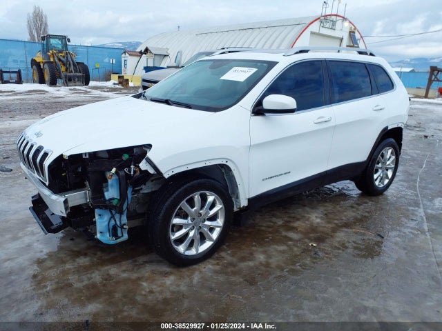 Jeep Cherokee Limited 2016 1C4PJMDS2GW104785 Image 2