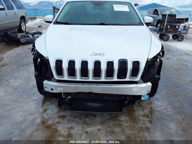 Jeep Cherokee Limited 2016 1C4PJMDS2GW104785 Image 6