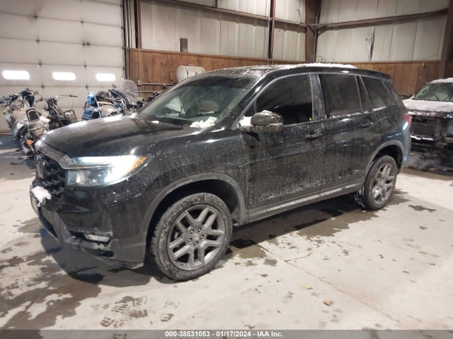 Honda Passport Awd Ex-l 2022 5FNYF8H54NB030482 Image 2