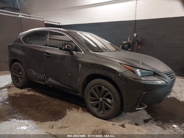 Lexus NX 300 2019 JTJBARBZ4K2211566 Image 1