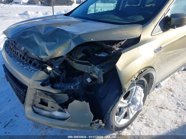 Ford ESCAPE SE 2014 1FMCU9GX7EUA93149 Image 6