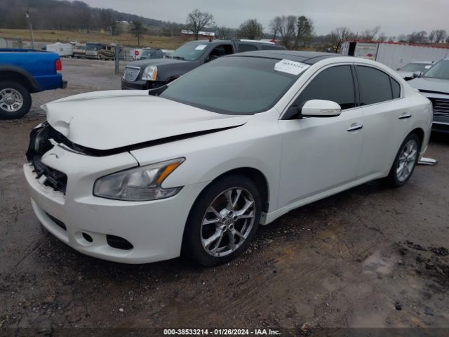 1N4AA5AP9EC443785 Nissan Maxima 3.5 Sv