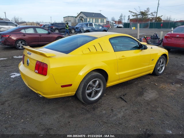 2005 FORD MUSTANG GT DELUXE/GT PREMIUM VIN: 1ZVFT82H255103110