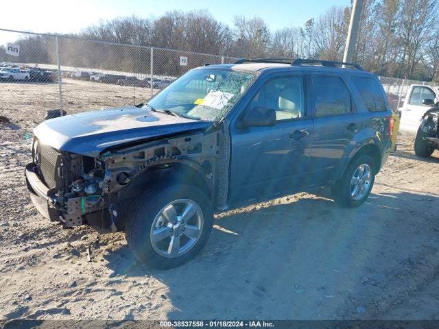 2011 FORD ESCAPE XLT VIN: 1FMCU0DGXBKA52831
