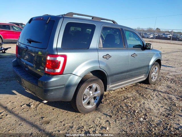 2011 FORD ESCAPE XLT VIN: 1FMCU0DGXBKA52831