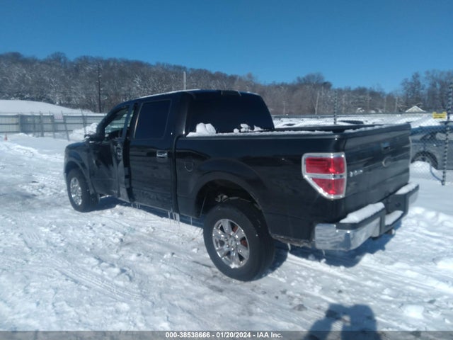 2010 FORD F-150 FX4/LARIAT/XL/XLT VIN: 1FTFW1EV5AFD00764