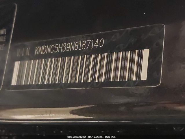 KNDNC5H39N6187140 KIA Carnival Mpv Ex