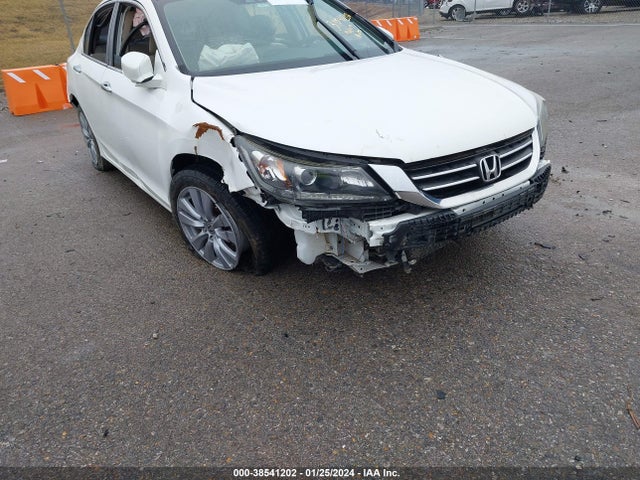 Honda Accord Ex-l 2014 1HGCR2F81EA230595 Image 6