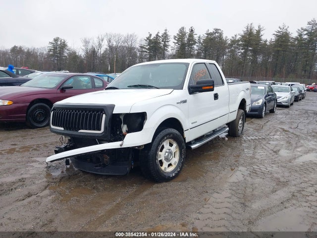 2011 FORD F-150 XLT VIN: 1FTFX1ET3BFC22059