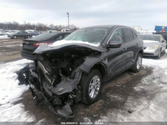1FMCU9G63MUA93039 Ford ESCAPE SE