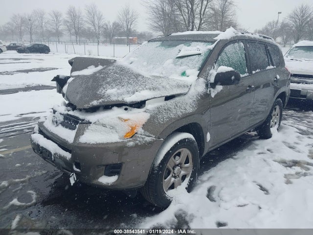 2010 TOYOTA RAV4 VIN: 2T3BF4DV6AW061905