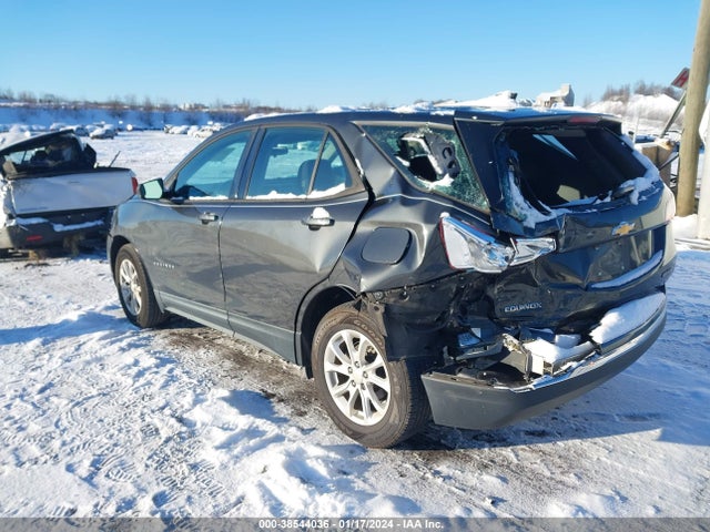 Chevrolet EQUINOX LS 2018 2GNAXHEV8J6165300 Image 3