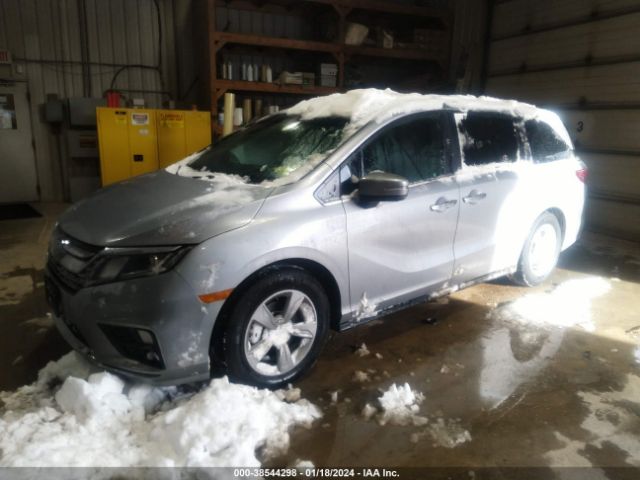 2020 HONDA ODYSSEY 5FNRL6H71LB008780 Photo 1