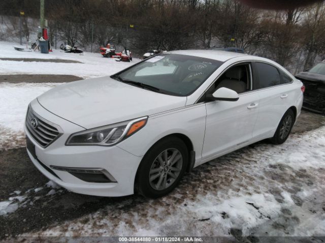 5NPE24AFXFH213737 Hyundai SONATA SE