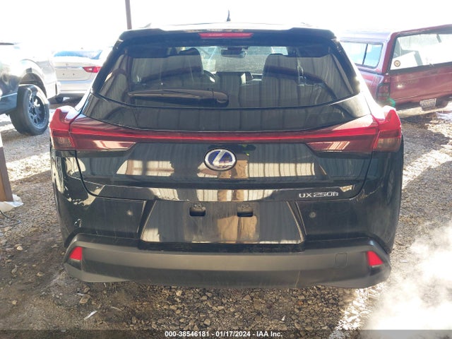 2019 LEXUS UX 250H VIN: JTHU9JBH7K2011020