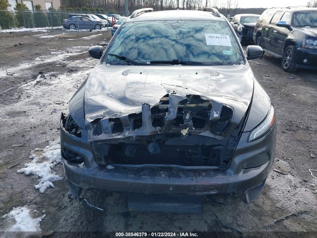 1C4PJMCB0GW226451 Jeep Cherokee Altitude
