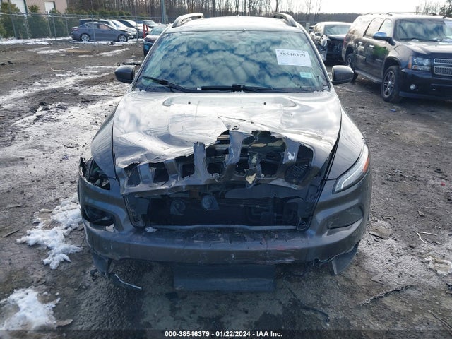 1C4PJMCB0GW226451 Jeep Cherokee Altitude