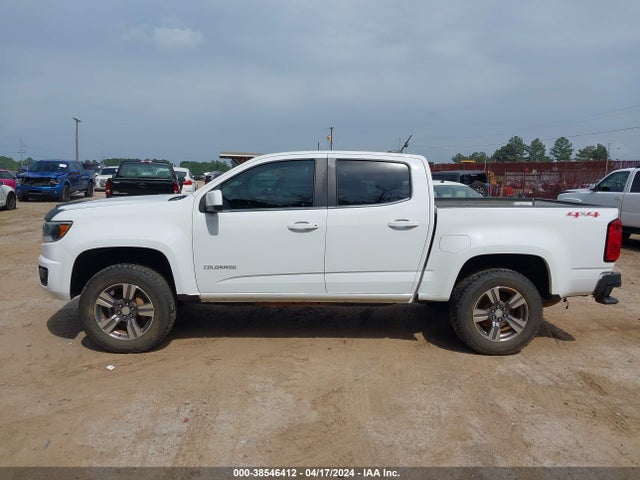 Chevrolet Colorado Lt 2019 1GCGTCEN3K1104376 Image 14