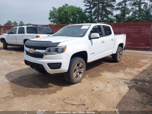 Chevrolet Colorado Lt 2019 1GCGTCEN3K1104376 Image 2