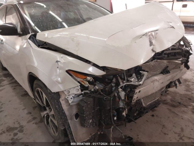 1N4AA6AP6HC432351 Nissan Maxima 3.5 Sl
