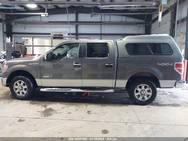 Ford F-150 Xlt 2014 1FTFW1ET6EFB49423 Image 15