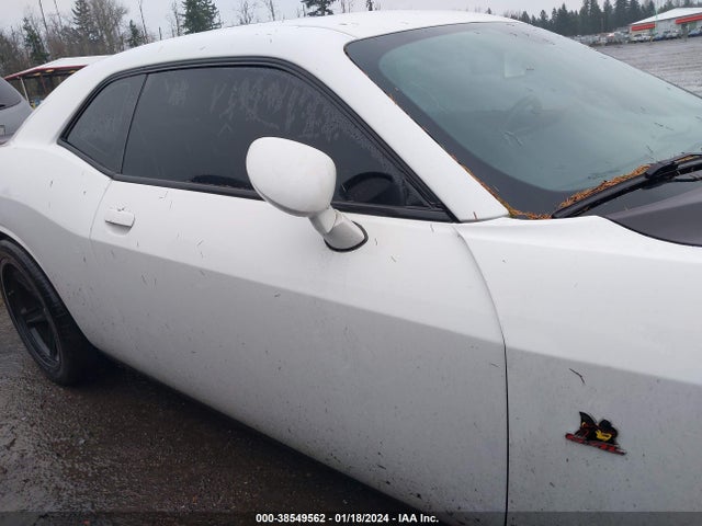 Dodge Challenger R/t Scat Pack 2017 2C3CDZFJ6HH592246 Image 13